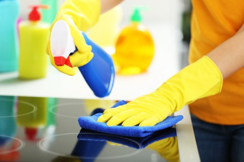 Professional carpet cleaning removing stains and dirt in Harrow