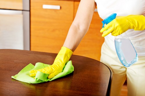 Detailed kitchen deep cleaning in Harrow with spotless surfaces