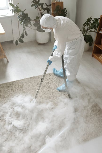 A person dressed in full protective white coveralls, a face mask, and blue gloves is using a professional cleaning tool to perform steam or deep cleaning on a beige carpet in a well-lit living room. The room features a light wooden floor, a large potted plant with broad green leaves, and a wooden shelving unit. Freshly removing cleaning solution or steam mist creates a visible white cloud on the carpet surface. Natural light fills the space from a nearby window, highlighting the cleanliness and hygiene focus of the cleaning process. This scene showcases surface cleaning and sanitisation practices typical of a domestic cleaning session, emphasized by the presence of cleaning equipment and the pristine condition of the carpet, delivered by Harrow Carpet Cleaning.